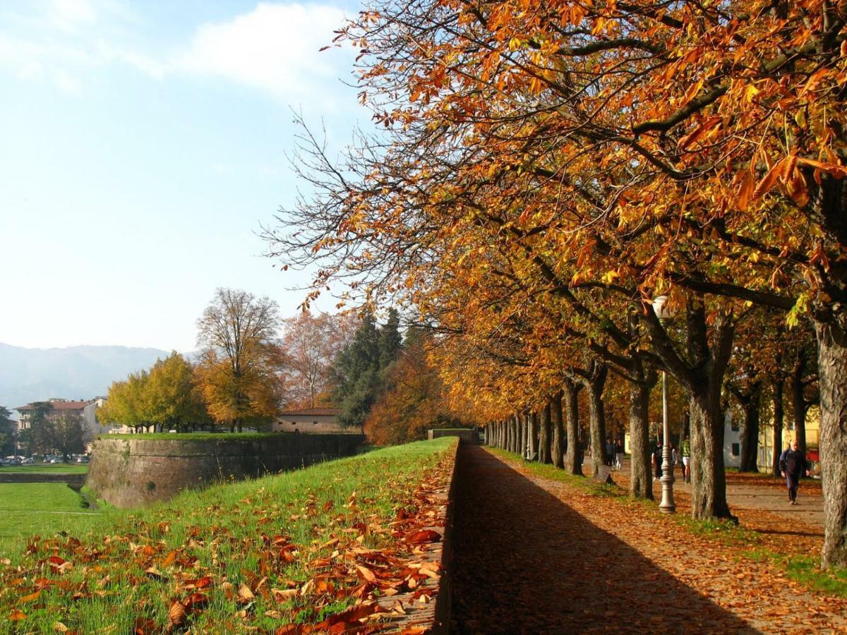 Villa Grespola Lucca Exterior photo